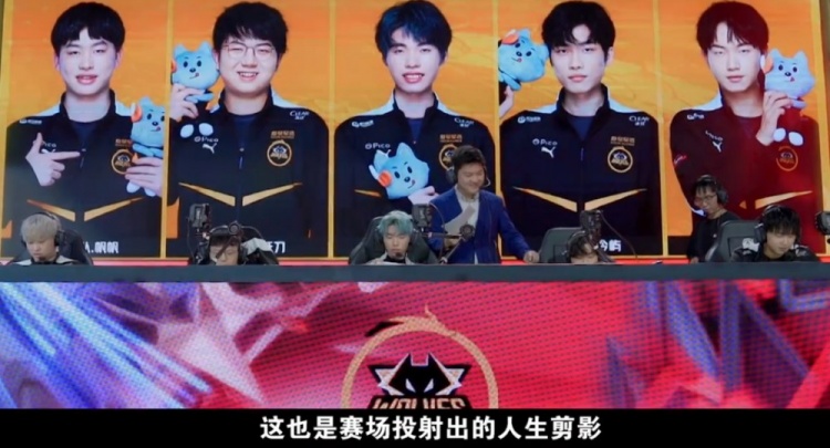 视的因素