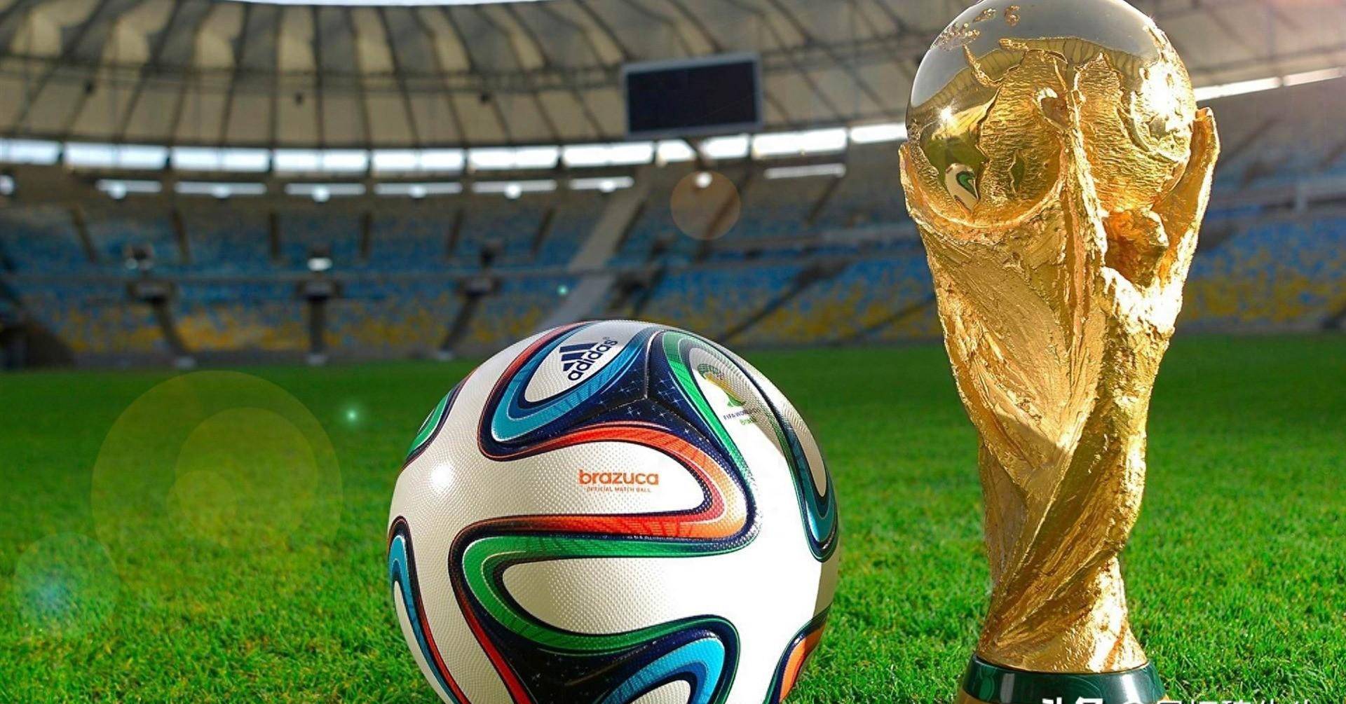 将继续发挥 将继续发挥