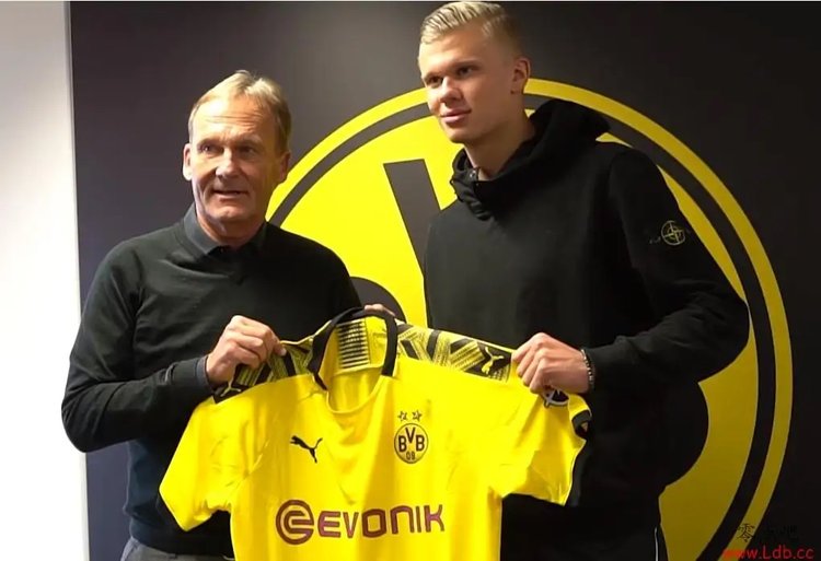 的双保位阵 的双保位阵